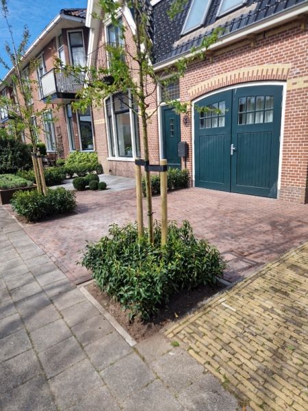 Stadstuin aanleg Franeker